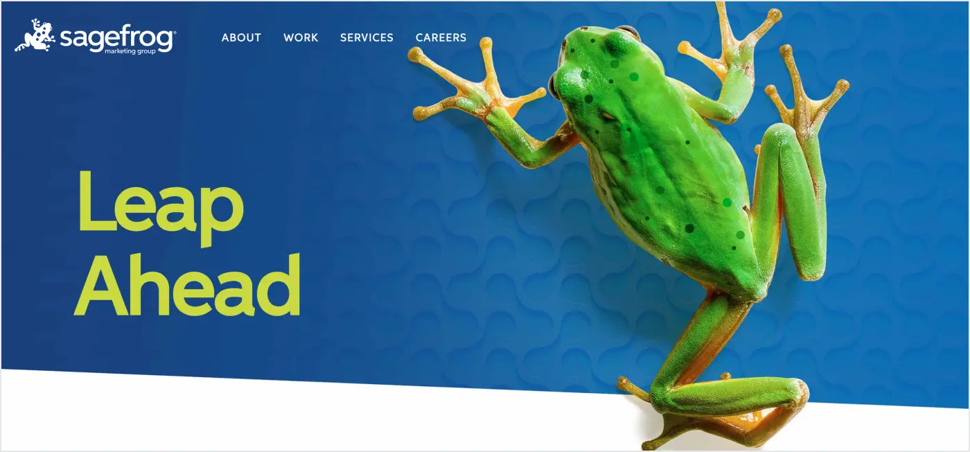 Safefrog healthcare brand agency